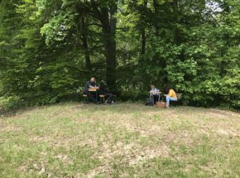 IMG_5047_schobert_ergebnis