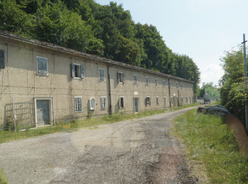 DSC06419