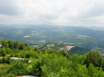 DSC06478