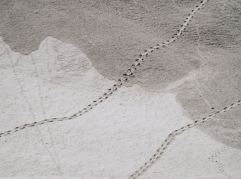7R508621-2