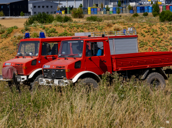 Unimog-Treffen-Horgen-HJG20260711-449