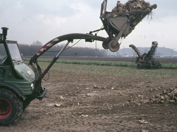 Dia-24